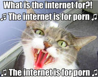 The Internet Is For Porn