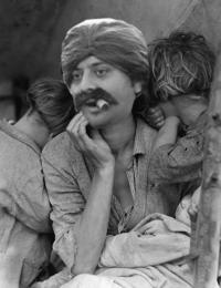 Cigar Guy