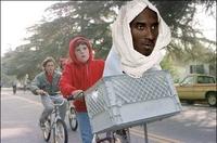 Kobe Bryant "White Hot" Cover Photo