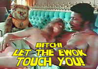 ewok-2.jpg