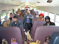 Meme Overload