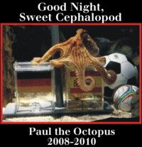 Paul The Octopus