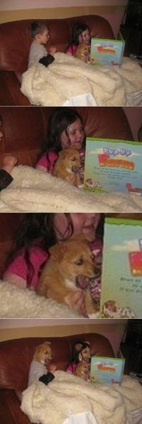 Tenso