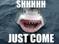 Shh Just Come