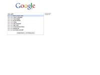 Google Search Box Suggestions
