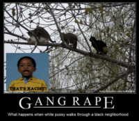 That's Racist!