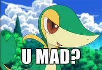 Smugleaf / Snivy