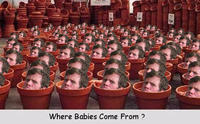 Christopher Poole / moot