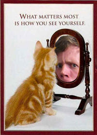 Christopher Poole / moot