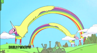 Double Rainbow