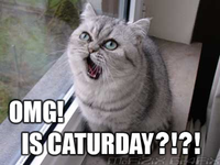 Caturday