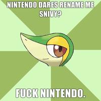 Smugleaf / Snivy