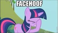 Facepalm