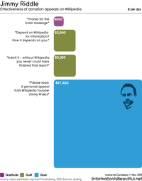 2010 Wikipedia Fundraising Campaign