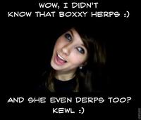 Boxxy