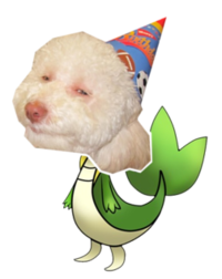 Smugleaf / Snivy