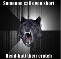 Insanity Wolf