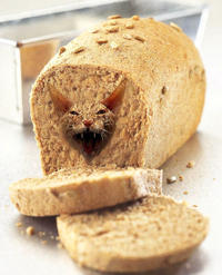 CatBread / Nekopan