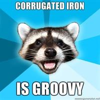 Lame Pun Coon