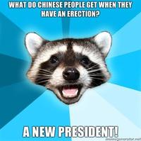 Lame Pun Coon