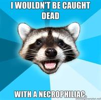 Lame Pun Coon