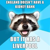 Lame Pun Coon
