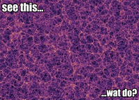 Wat Do?