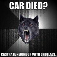 Insanity Wolf