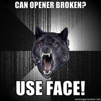 Insanity Wolf