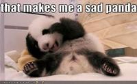 Sad Panda