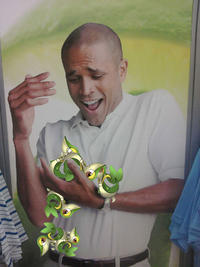 Smugleaf / Snivy