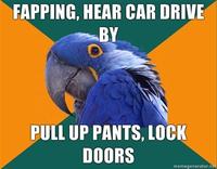 Paranoid Parrot