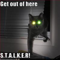 "Get Out Of Here Stalker!"