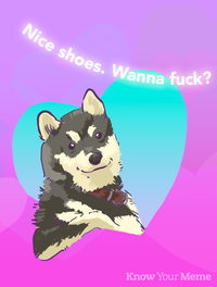 Cooldog_valentine