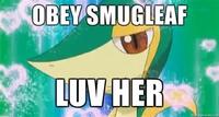 Smugleaf / Snivy