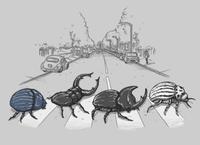 Abbey Road Parodies