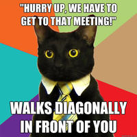 Business Cat