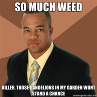 Successful Black Man