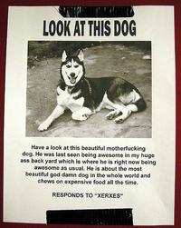 IRL Troll Posters