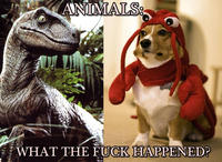 What the f**k happened?