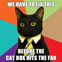 Business Cat