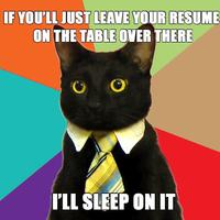 Business Cat