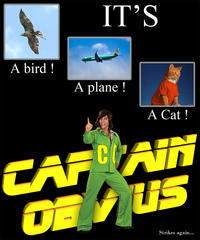 Captain Obvious