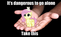 It's Dangerous to Go Alone! Take This