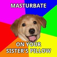 Advice Dog