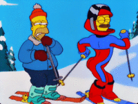 Stupid Sexy Flanders