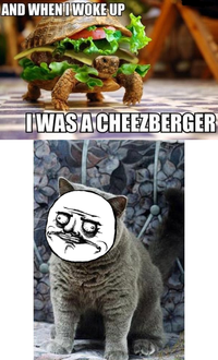 Me Gusta