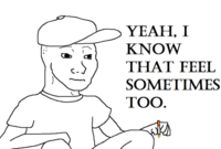 I Know That Feel Bro