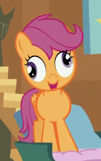 DERP