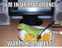 In Ur Base